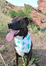Load image into Gallery viewer, Dog Bandana- Pretty Fly for a Cacti
